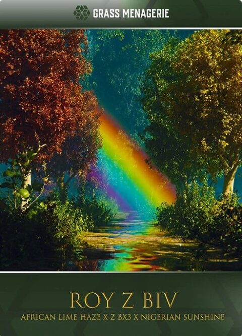 Roy Z Biv